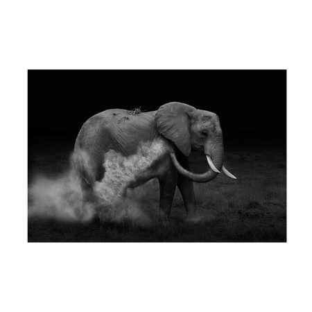 Yun Wang 'Elephant Sand Bathing' Canvas Art, 16x24